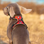 Truelove 3M Reflective Dog Harness with Dual Control & Aviation Aluminum Fittings