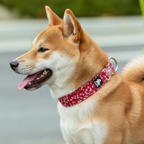 Dog wearing a red collar with a floral pattern on a blurred background