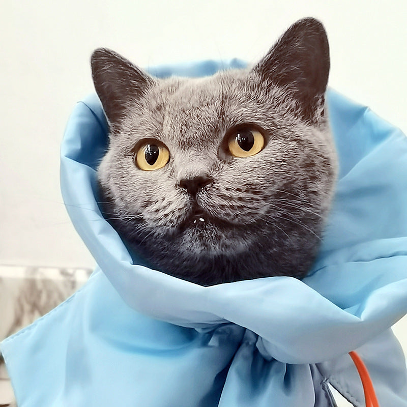Gray cat with yellow eyes peeking out from a blue fabric bag