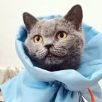 Gray cat with yellow eyes peeking out from a blue fabric bag
