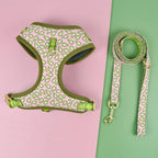 Lovesea Harness and Leash Set for Medium &amp; Large Dogs