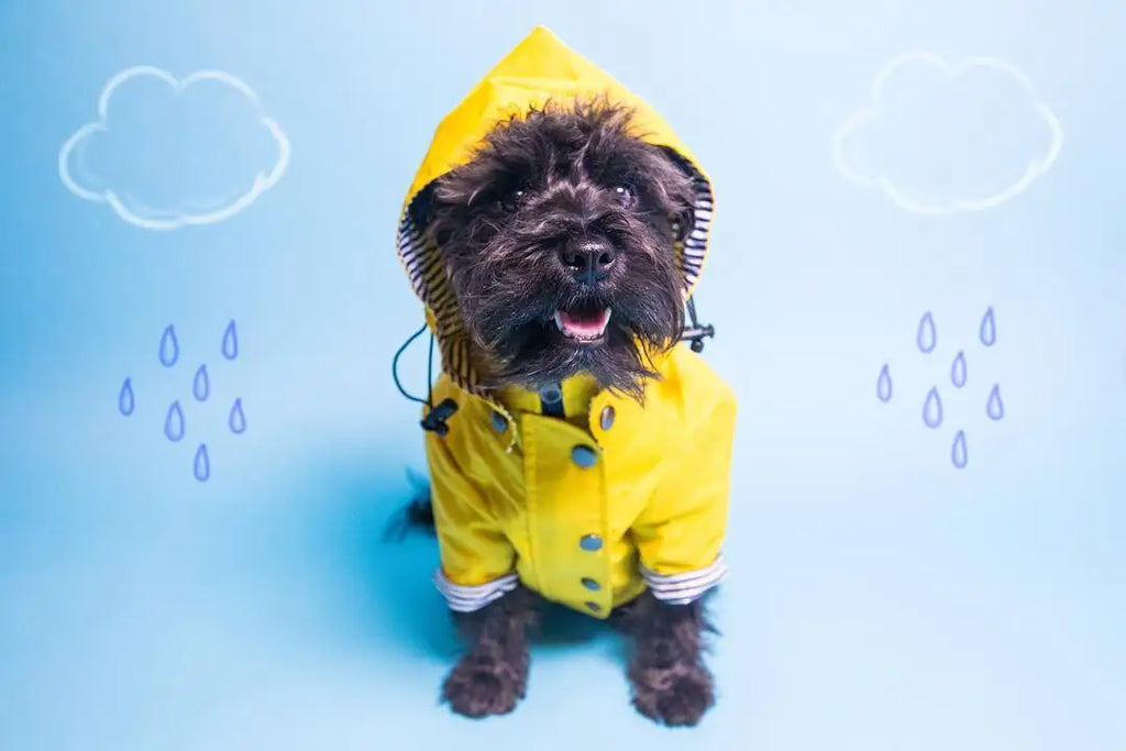 Waterproof Dog Raincoat – Pet Jacket for Small to Large Dogs