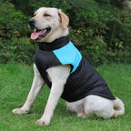 Waterproof Dog Winter Jacket – Warm Padded Vest