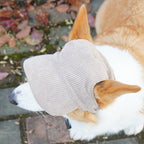 PupCap Corduroy Dog Hat