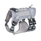 Gray tactical dog harness on a white background