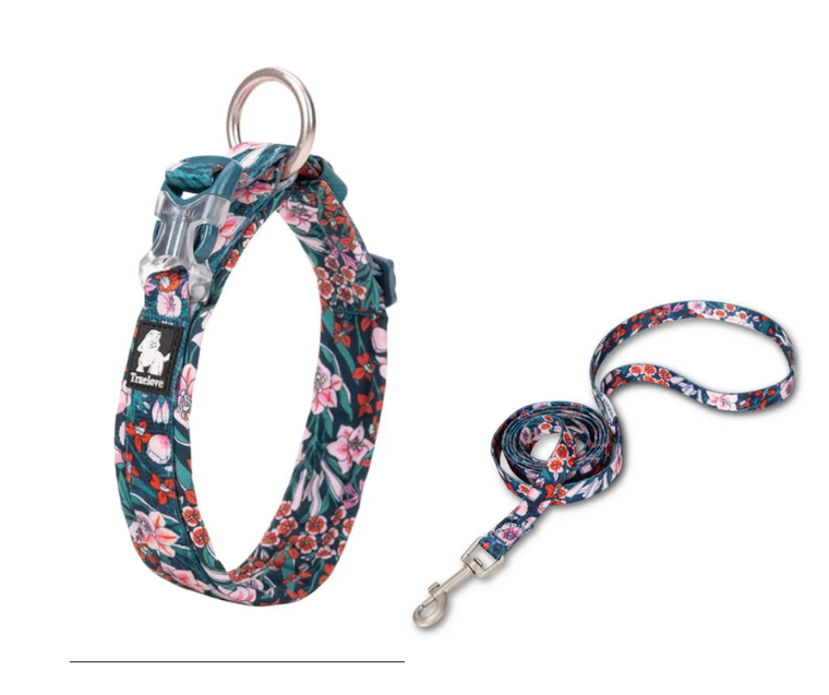 Truelove Floral Cotton Dog Collar & Leash Set