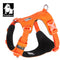Truelove CORDURA® Explosion-Proof Dog Harness