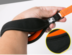Truelove Pet Reflective Leash