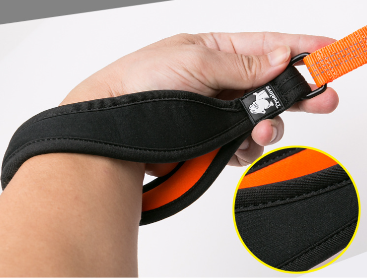 Truelove Pet Reflective Leash