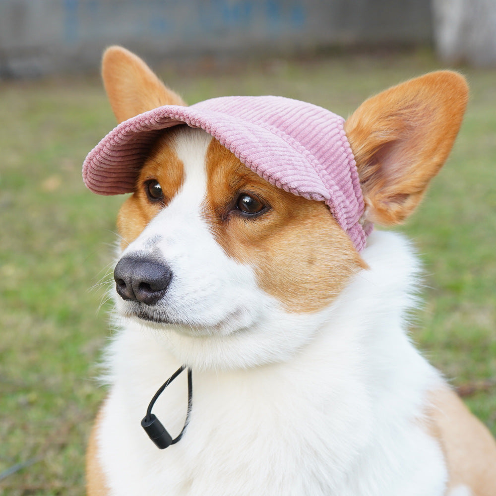 PupCap Corduroy Dog Hat