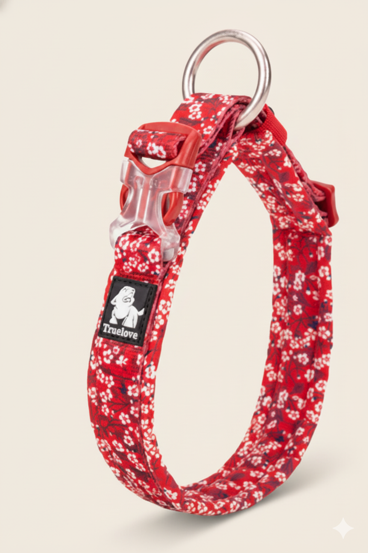 Truelove Floral Cotton Dog Collar & Leash Set