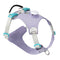 Purple dog harness with teal accents on a white background