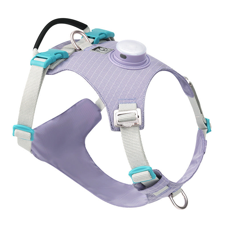 Purple dog harness with teal accents on a white background