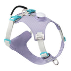 Purple dog harness with teal accents on a white background