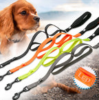 Truelove Pet Reflective Leash
