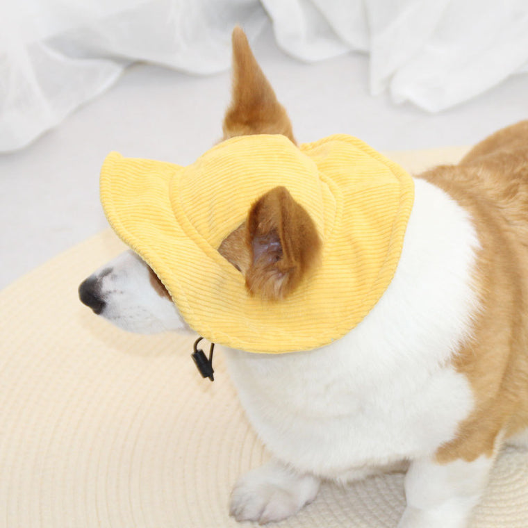 PupCap Corduroy Dog Hat
