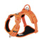 Orange dog harness with black padding on a white background