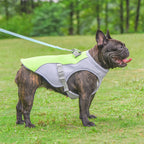CoolPace™ – Breathable Dog Cooling Vest for Hot Weather Walks