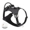 Black dog harness with USB cable on a white background
