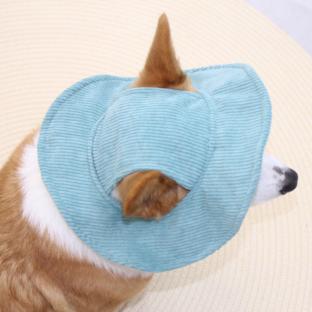PupCap Corduroy Dog Hat