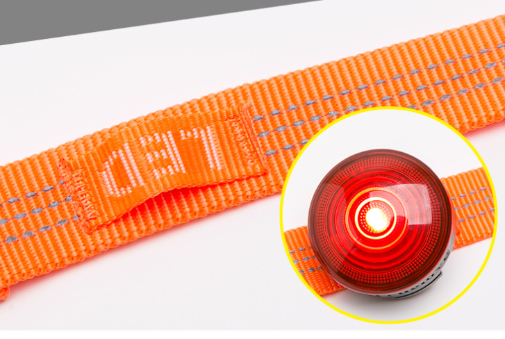 Truelove Pet Reflective Leash