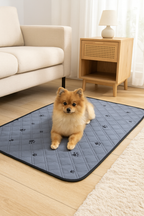 Dog sitting on a blue pet mat with paw prints in a living room.