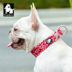 White dog wearing a red floral collar with 'Truelove' logo, outdoors.
